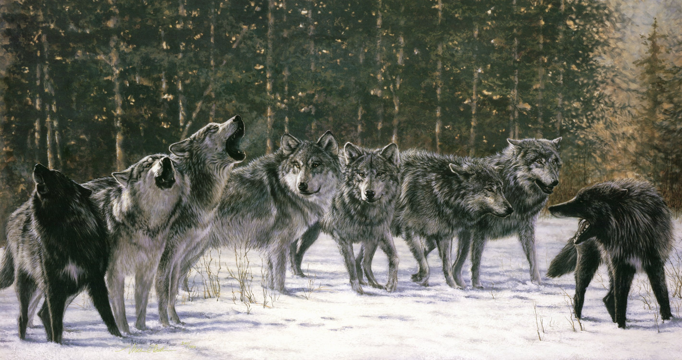 The Sawtooth Pack — original artwork commissioned by the Wolf Center
