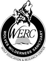 Wolf Education & Research Center