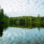 Why Is Water Conservation Important?