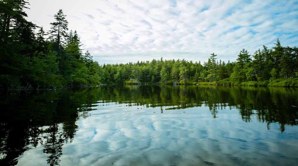 Why Is Water Conservation Important?