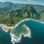 The Hawaiian Hoary Bat Arrived In Hawaii 10,000 Years Ago
