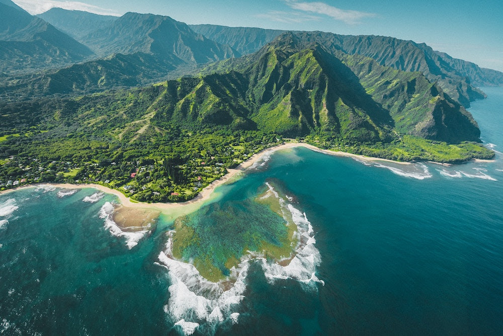 The Hawaiian Hoary Bat Arrived In Hawaii 10,000 Years Ago