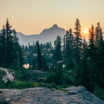 What Are the Consequences of Extinction?