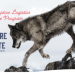 Helping You Make The Argument to Save Wolves