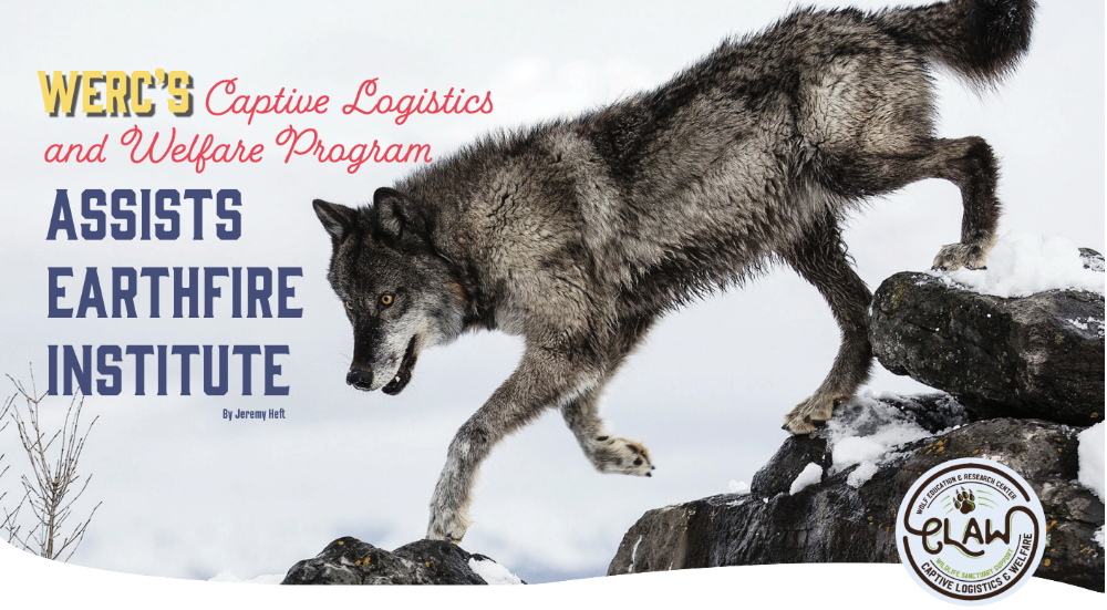 Helping You Make The Argument to Save Wolves