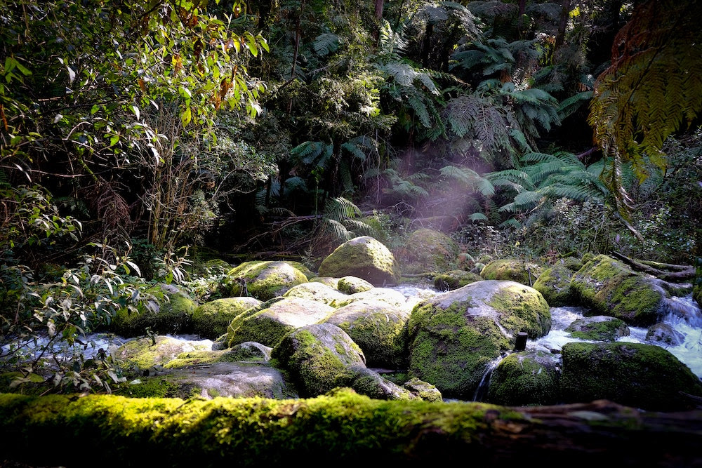 What Makes Conservation Effective?